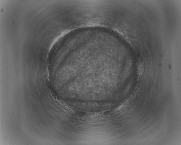 X0000073721262200608241223