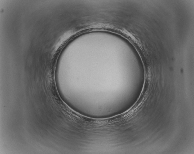 X0000073721263200608241223