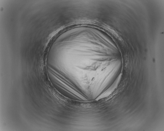 X0000073721264200608241223