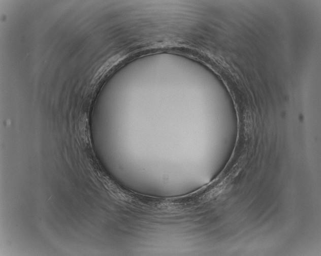 X0000073721265200608241223