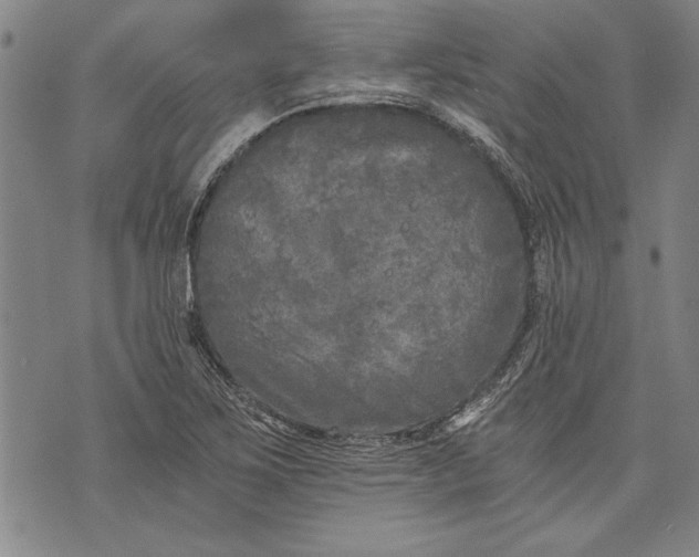 X0000073721267200608241223