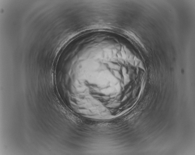 X0000073721268200608241223