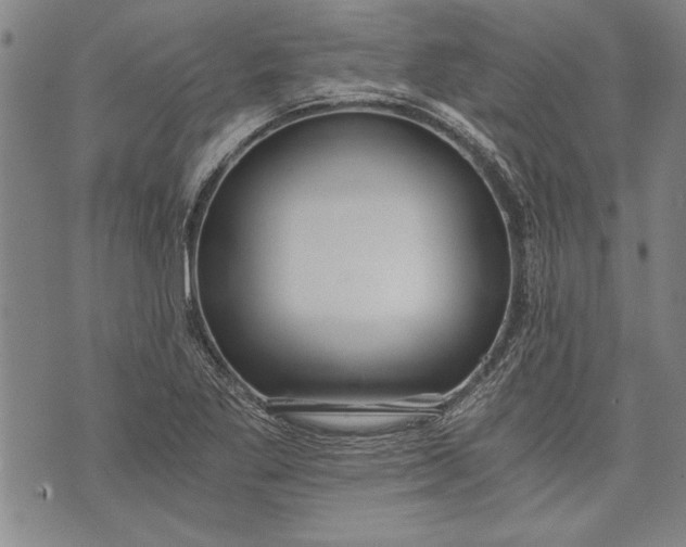 X0000073721269200608241223