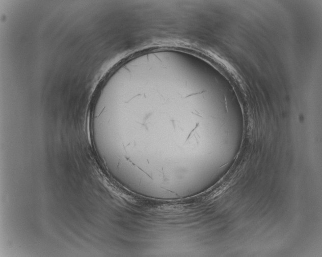 X0000073721272200608241223