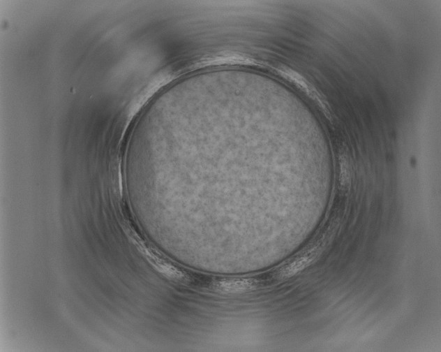 X0000073721274200608241223