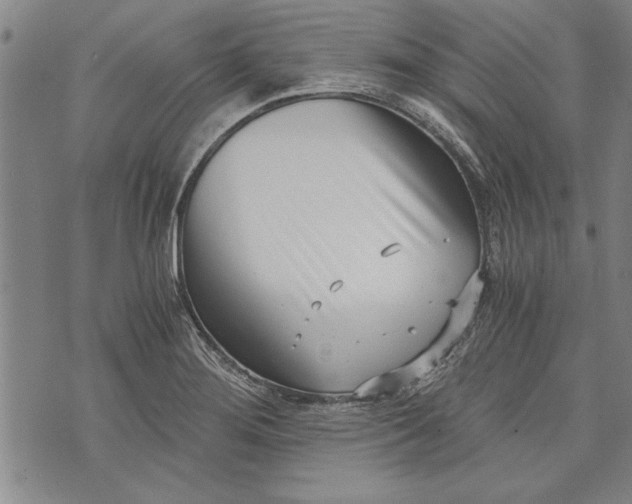 X0000073721276200608241223