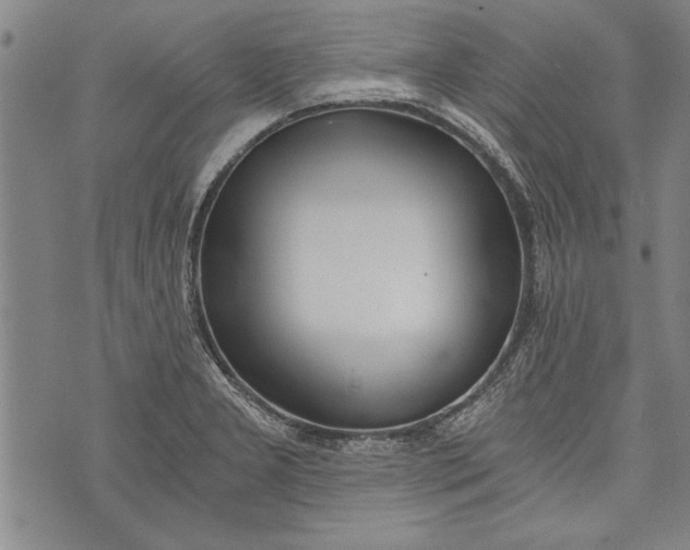 X0000073721277200608241223