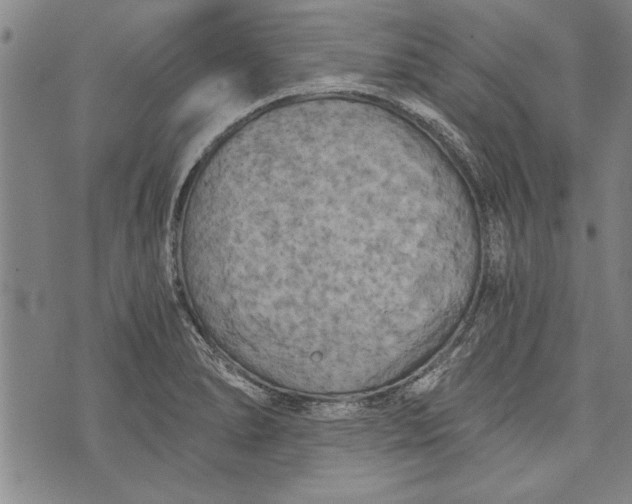 X0000073721278200608241223