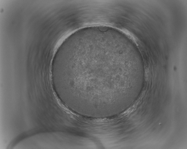 X0000073721279200608241223