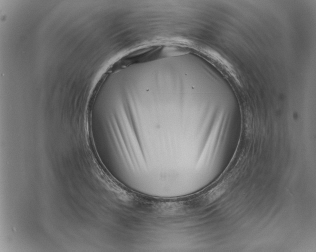 X0000073721280200608241223