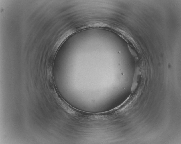 X0000073721281200608241223