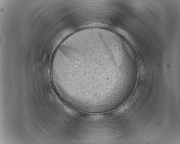 X0000073721282200608241223