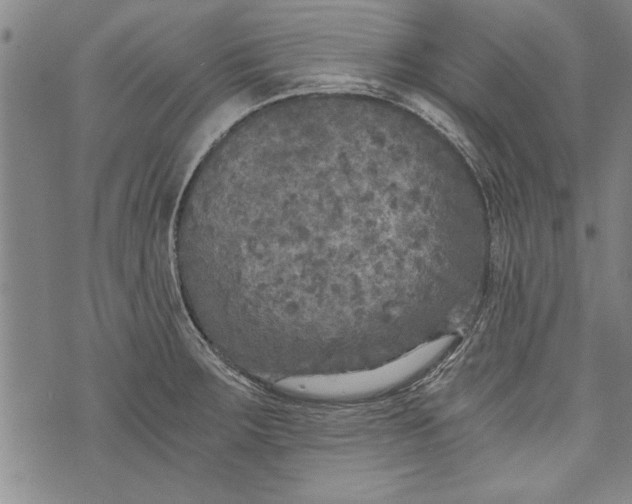 X0000073721283200608241223