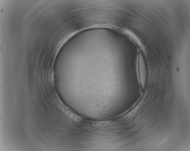 X0000073721284200608241223