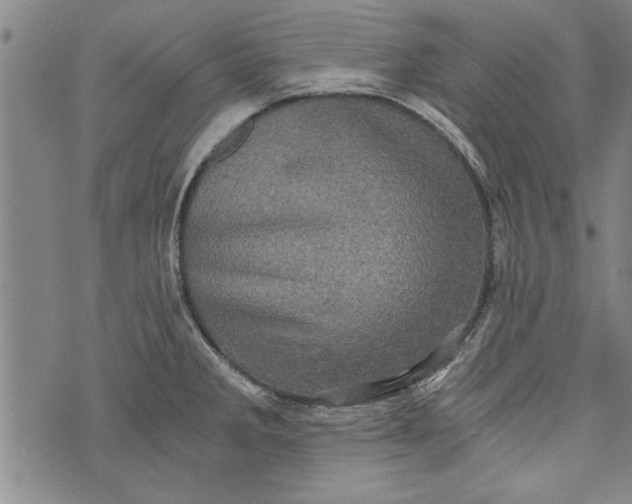 X0000073721285200608241223