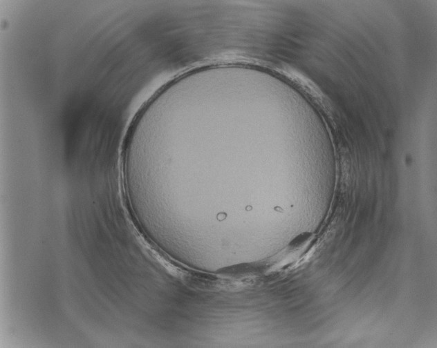 X0000073721286200608241223