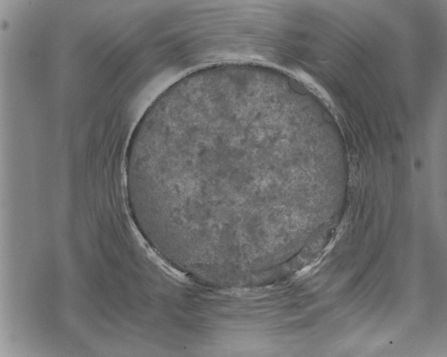 X0000073721287200608241223