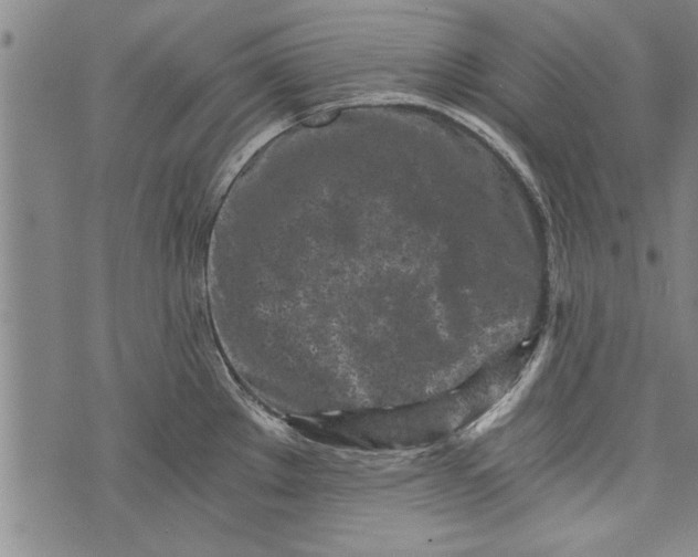 X0000073721289200608241222