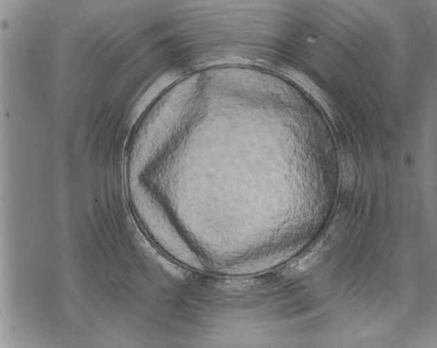 X0000073721290200608241222