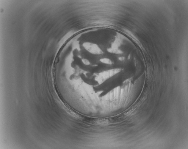 X0000073721291200608241222