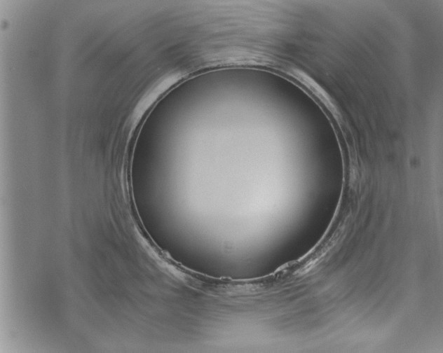 X0000073721293200608241222