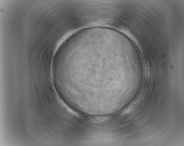 X0000073721294200608241222