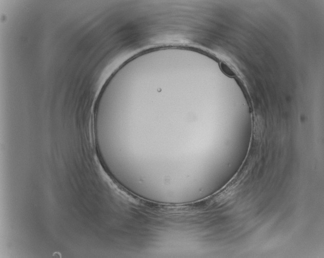 X0000073721295200608241222