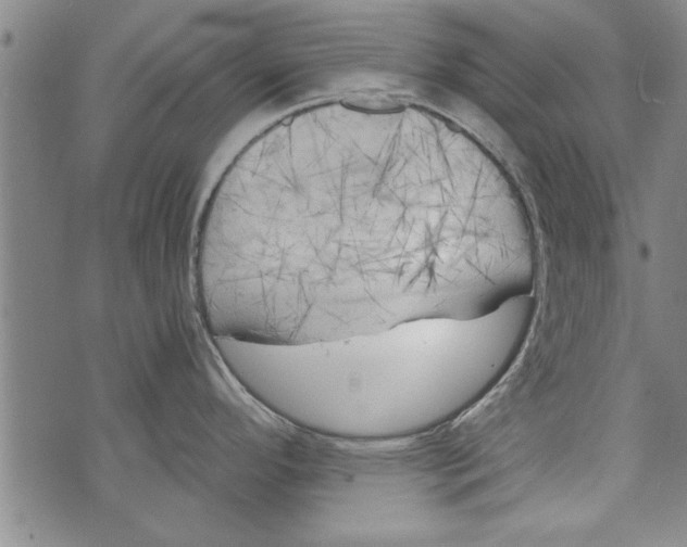 X0000073721296200608241222