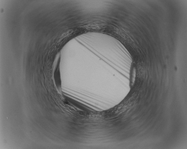 X0000073721297200608241222