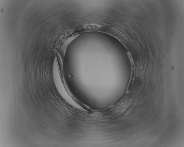 X0000073721298200608241222