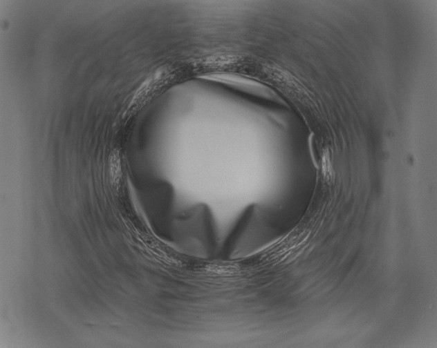 X0000073721299200608241222