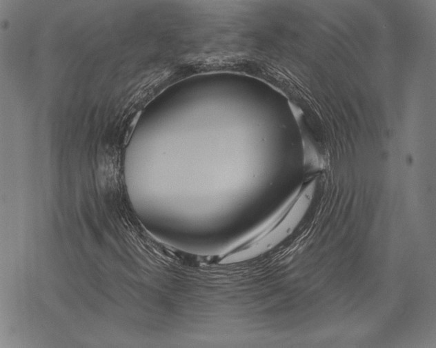 X0000073721300200608241222