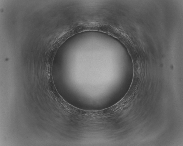 X0000073721301200608241222