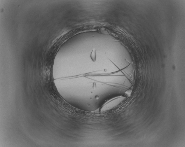 X0000073721302200608241222