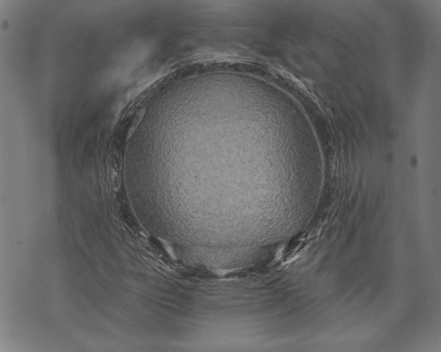 X0000073721303200608241222