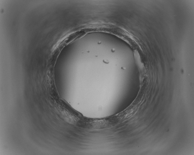 X0000073721304200608241222