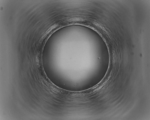 X0000073721305200608241222