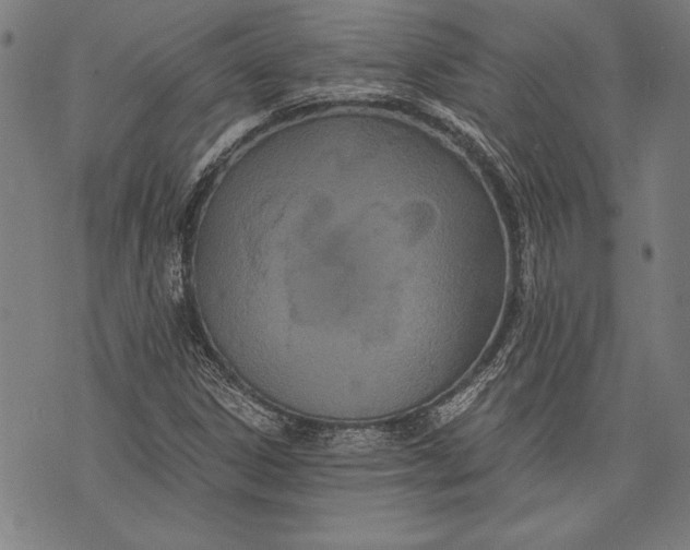 X0000073721306200608241222