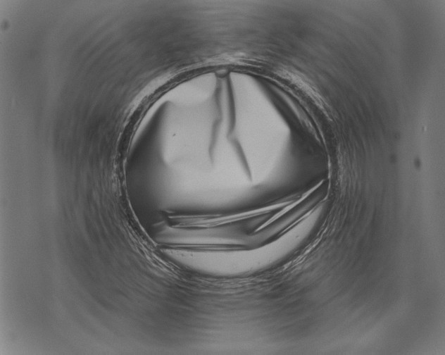 X0000073721308200608241222