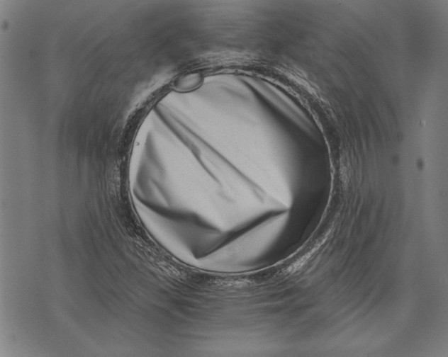 X0000073721309200608241222