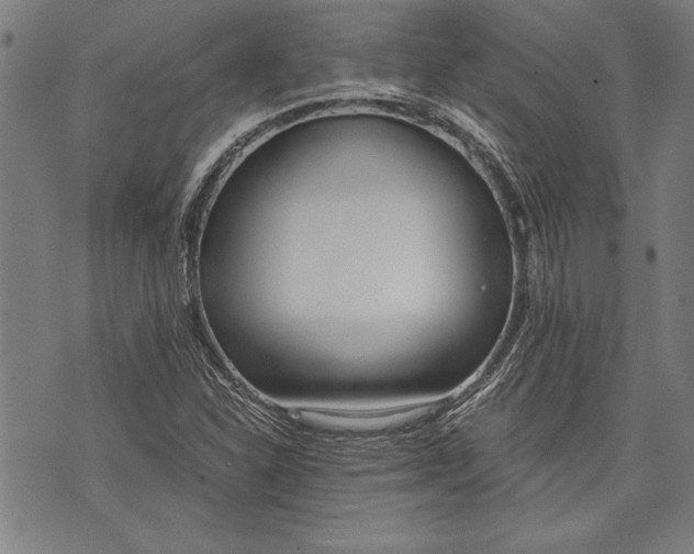 X0000073721310200608241222