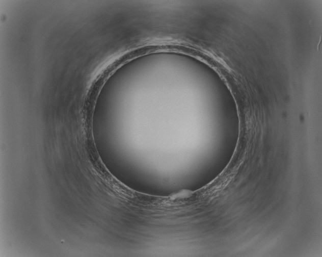 X0000073721311200608241222