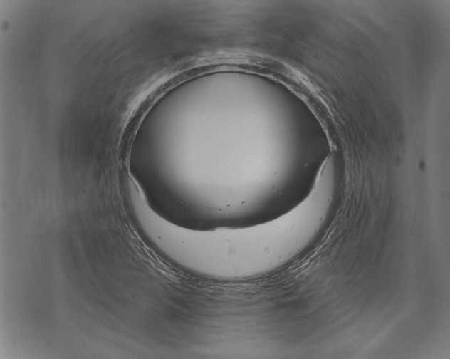 X0000073721312200608241222