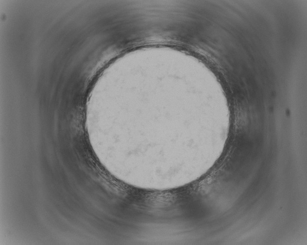 X0000073721314200608241222