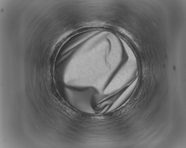 X0000073721315200608241222