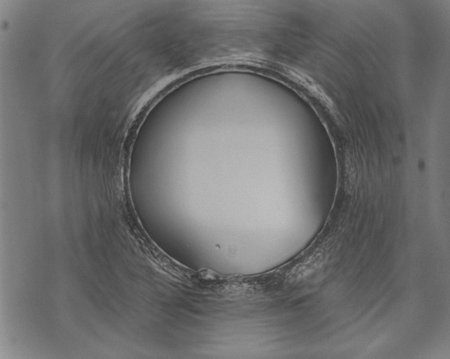 X0000073721316200608241222