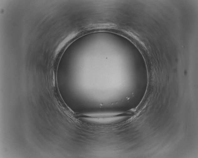 X0000073721317200608241222