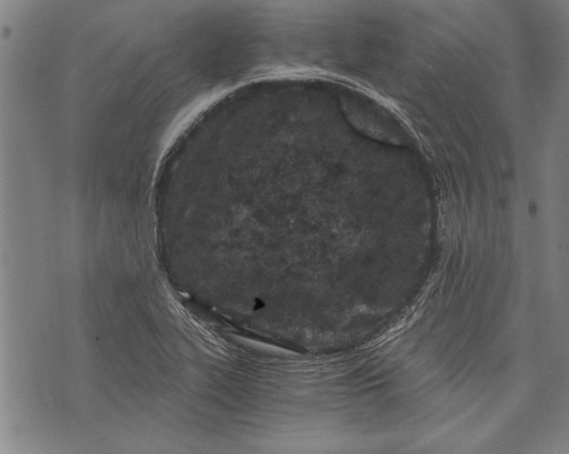 X0000073721319200608241222