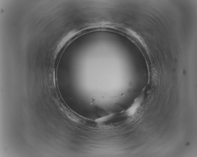 X0000073721320200608241222