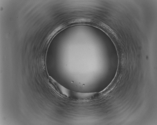 X0000073721321200608241222